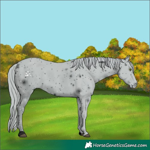 Horse Color:ERROR: UNKNOWN ANOMALY