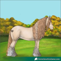 Horse Color:Buckskin Pearl Tobiano 