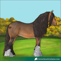 Horse Color:Buckskin Tobiano 