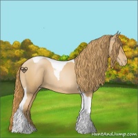 Horse Color:Chestnut Pearl Tobiano 