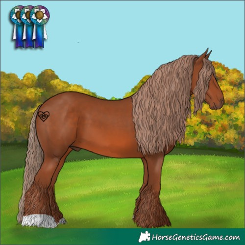 Horse Color:Chestnut 