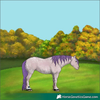Horse Color:Watercolor Classic Champagne Ice Dun Sabino Rabicano 