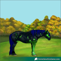 Horse Color:ERROR: UNKNOWN ANOMALY