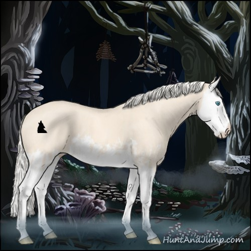 Horse Color:Cremello Splash and Cremello Splash
