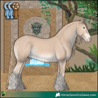 Horse Color:Smoky Creme