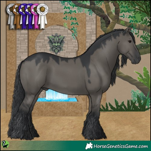 Horse Color:Grullo 