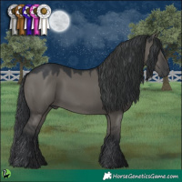 Horse Color:Grullo