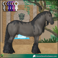 Horse Color:Grullo