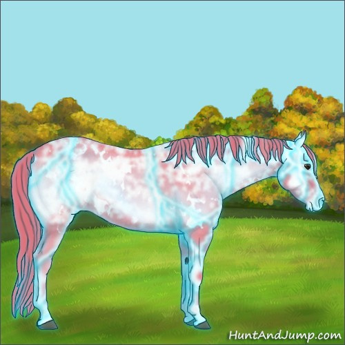 Horse Color:Thunderstruck Watercolor White Spotted Red Onyx Ice Roan Varnish Rabicano 
