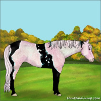 Horse Color:Watercolor Silver Bay Ice Onyx Tobiano Rabicano 