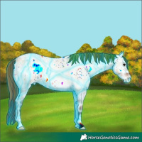 Horse Color:Thunderstruck Plaid Bay Ice Roan Onyx Appaloosa