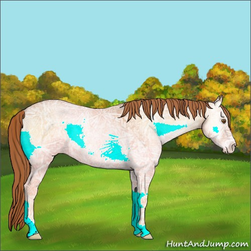 Horse Color:Bay Ice Pearl Onyx Rabicano 