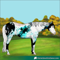 Horse Color:ERROR: UNKNOWN ANOMALY