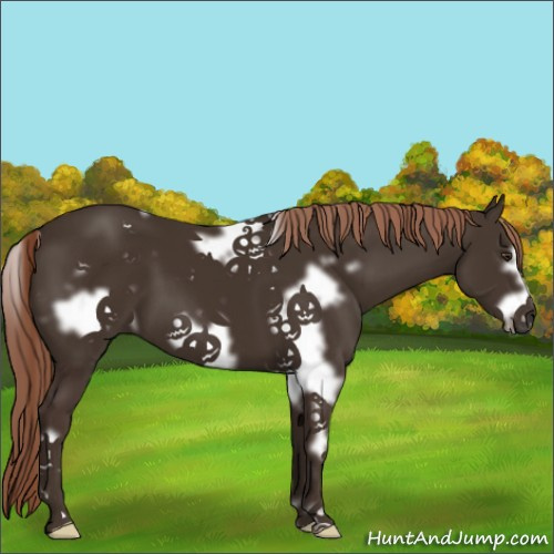 Horse Color:White Spotted Liver Chestnut Frame 