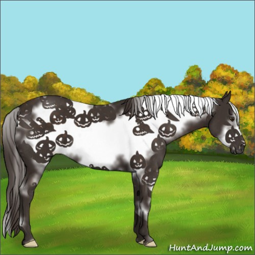 Horse Color:White Spotted Liver Chestnut Frame 