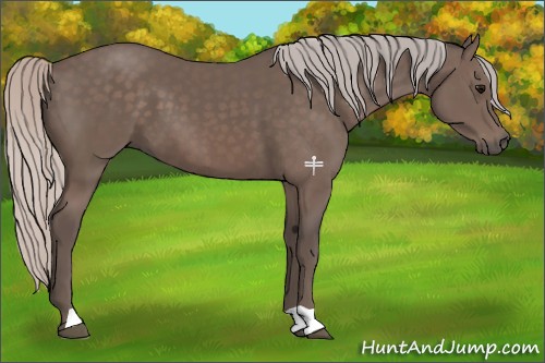 Horse Color:Silver Black 