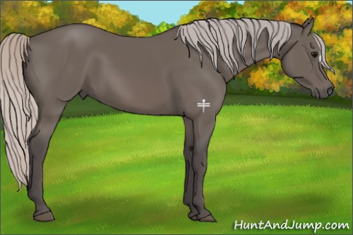 Horse Color:Silver Black 