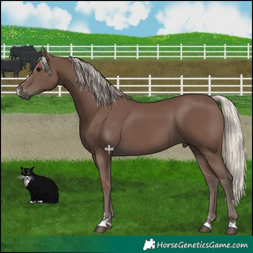 Horse Color:Silver Black 