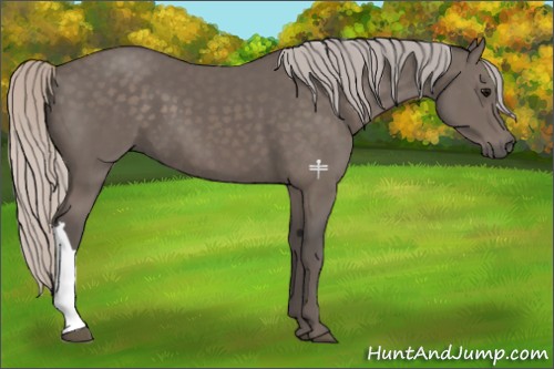 Horse Color:Silver Black 