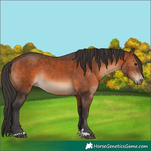 Horse Color:Brown 
