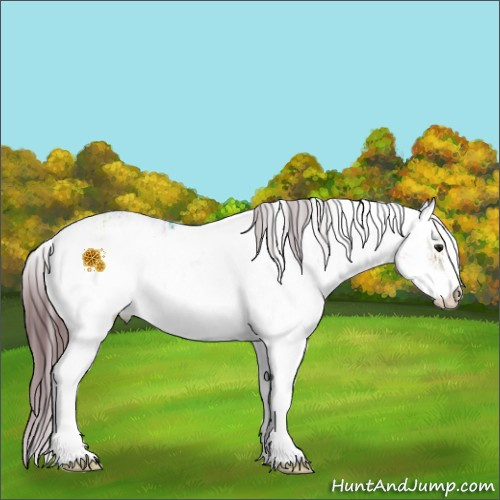 Horse Color:Chocolate Brown Ice Sabino 