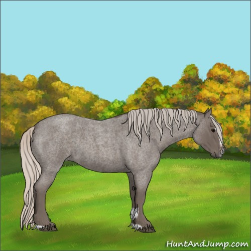 Horse Color:Silver Blue Roan Sabino
