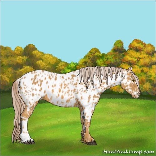 Horse Color:Palomino Leopard and Palomino Near Leopard