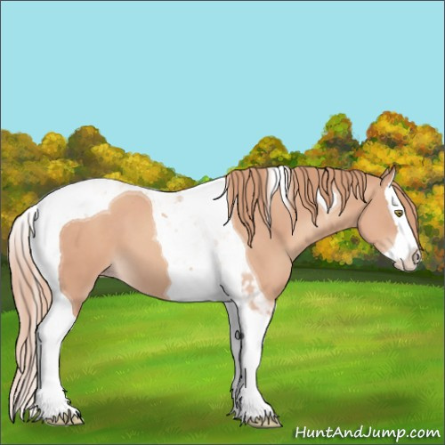 Horse Color:Gold Champagne Splash Tobiano 