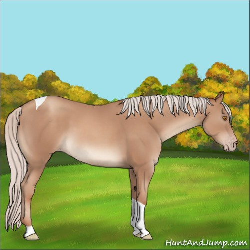 Horse Color:Silver Classic Champagne Tobiano 