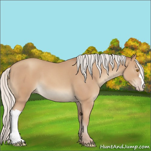 Horse Color:Silver Classic Champagne 