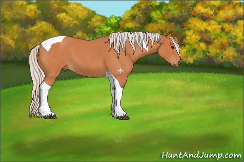 Horse Color:Silver Bay Roan Tobiano 