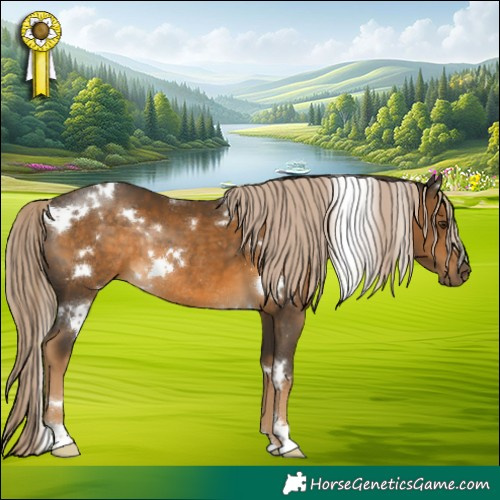 Horse Color:White Spotted Chocolate Palomino Rabicano 
