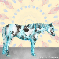 Horse Color:Thunderstruck White Spotted Silver Black Ice 
