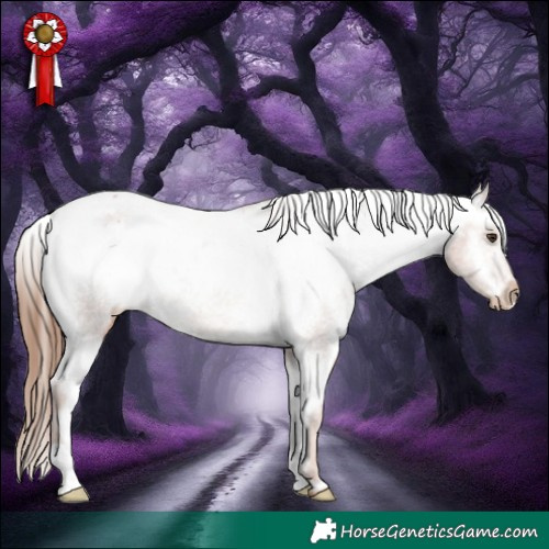 Horse Color:Chestnut Appaloosa Rabicano 