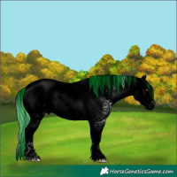 Horse Color:Void Painted Silver Brown Chinchilla Ice Dun Sabino Splash Appaloosa 