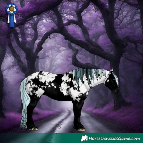 Horse Color:Void Painted White Spotted Chocolate Silver Brown Chinchilla Ice Dun Sabino Splash 