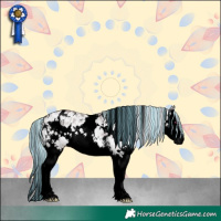 Horse Color:Void Painted White Spotted Chocolate Silver Brown Chinchilla Ice Dun Sabino Splash 