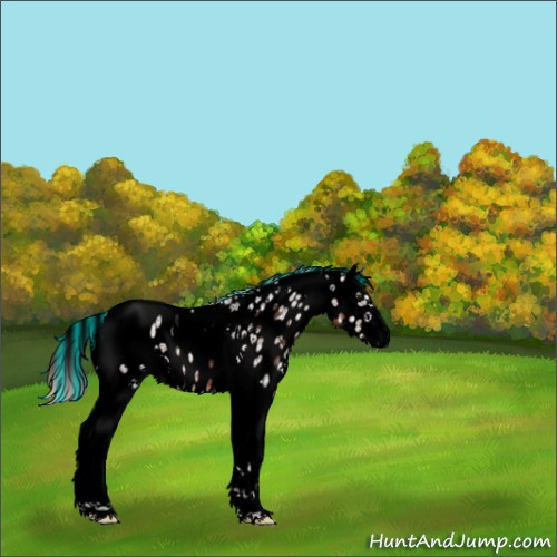 Horse Color:Void Painted Silver Brown Ice Mushroom Sabino Tobiano Appaloosa 