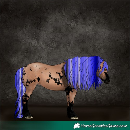 Horse Color:Void Painted White Spotted Silver Sable Champagne Sabino 
