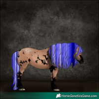 Horse Color:Void Painted White Spotted Silver Sable Champagne Sabino 