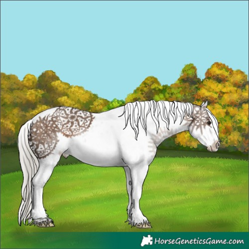 Horse Color:Silver Brown Dun Sabino 