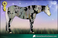 Horse Color:Void Watercolor White Spotted Silver Brown Ice Roan Rabicano 