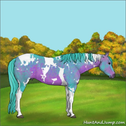Horse Color:Watercolor White Spotted Bay Tobiano 