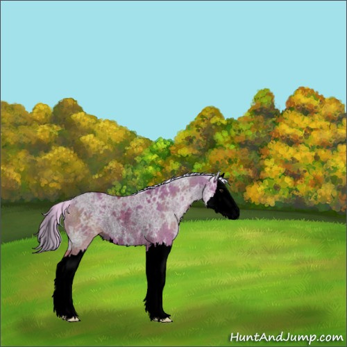 Horse Color:Void Watercolor Silver Brown Ice Roan Dun Splash Rabicano 