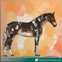 Horse Color:Gray White Spotted Silver Bay Tobiano Rabicano 