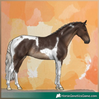 Horse Color:Gray Silver Black Tobiano Rabicano 