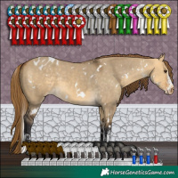 Horse Color:White Spotted Buckskin Dun Blanket 