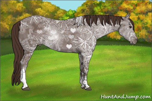 Horse Color:Liver Chestnut Ice Sabino Tobiano 