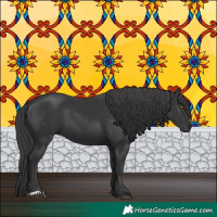 Horse Color:Black 