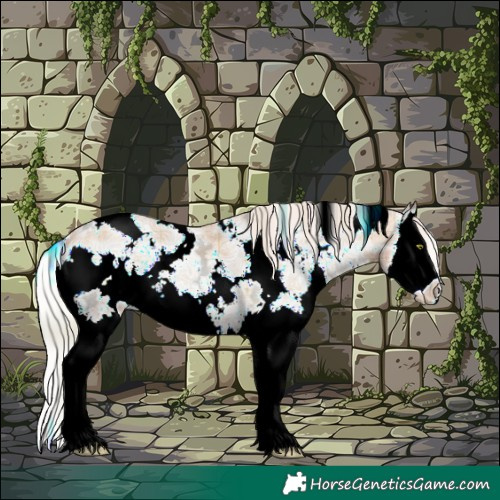 Horse Color:Plaid  White Spotted Silver Classic Champagne Ice Pearl Onyx Splash 